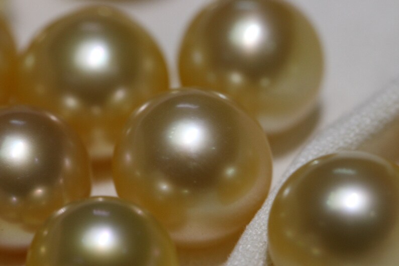 Natural Gold South Sea Pearl No Hole Salt Water Golden Pearl - Etsy
