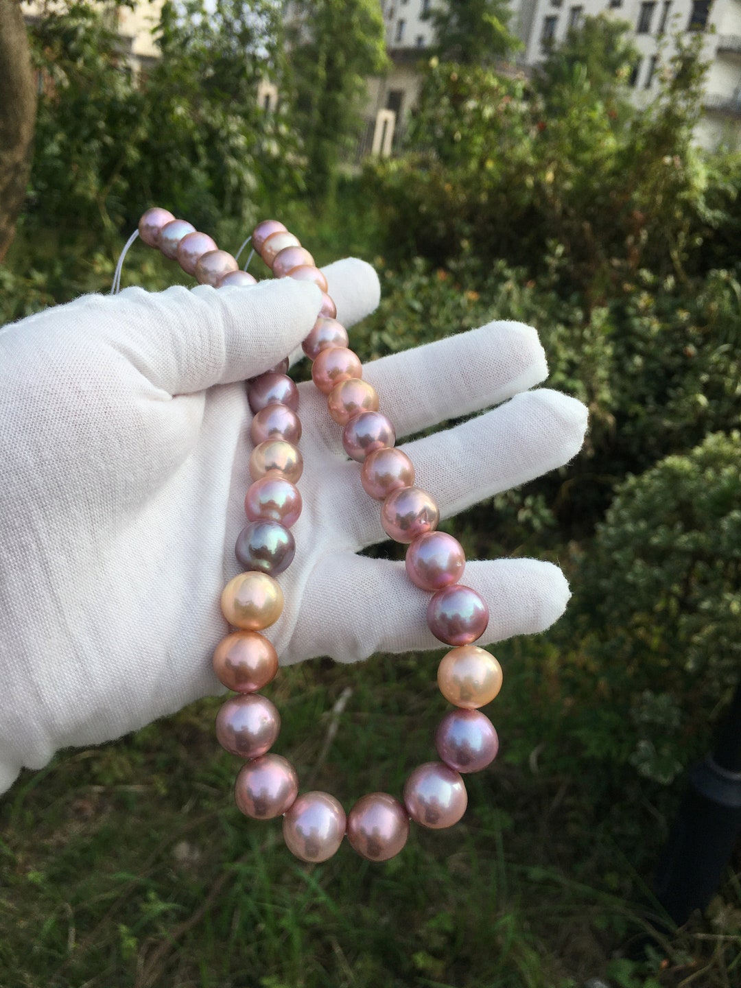 11.5-13mm Large Multi-color Round Edison Pearl Bead Strand|nucleus ...