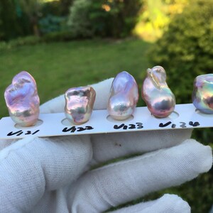May include: Five iridescent baroque pearls, each with unique shapes and colors, are displayed on a white card. The pearls exhibit hues of pink, purple, and gold, with a shimmering surface. The card is held by a gloved hand.