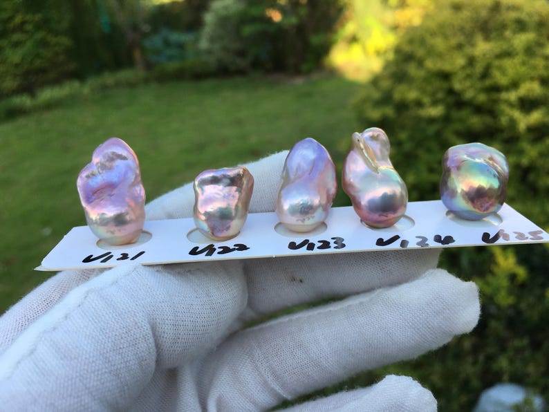 May include: Five iridescent baroque pearls, each with unique shapes and colors, are displayed on a white card. The pearls exhibit hues of pink, purple, and gold, with a shimmering surface. The card is held by a gloved hand.
