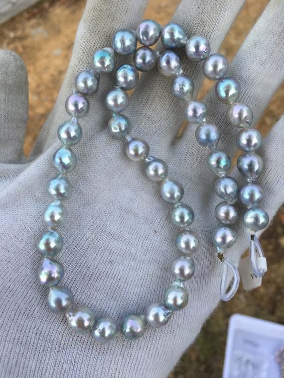 Dark blue shop akoya pearls