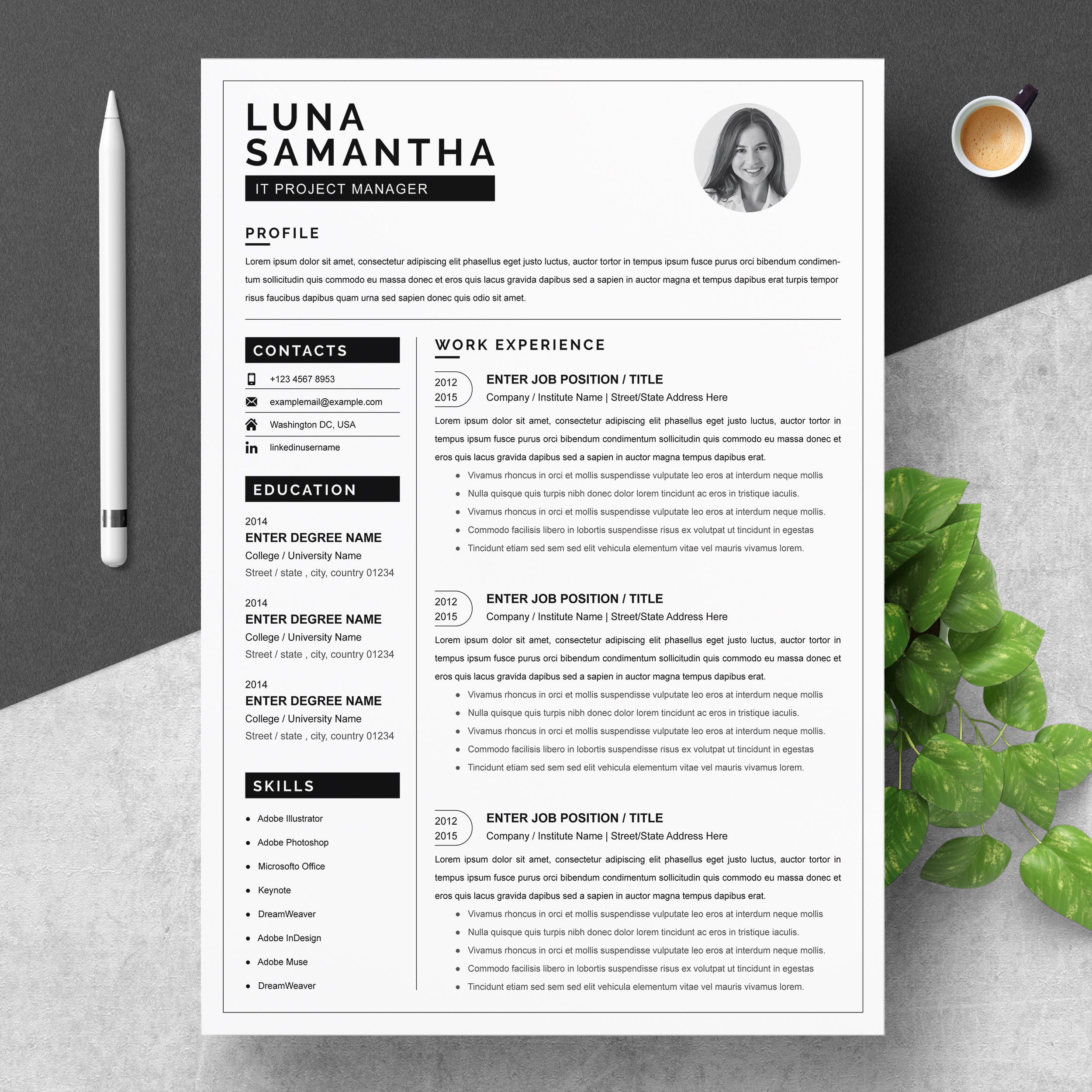 project manager resume templates canada