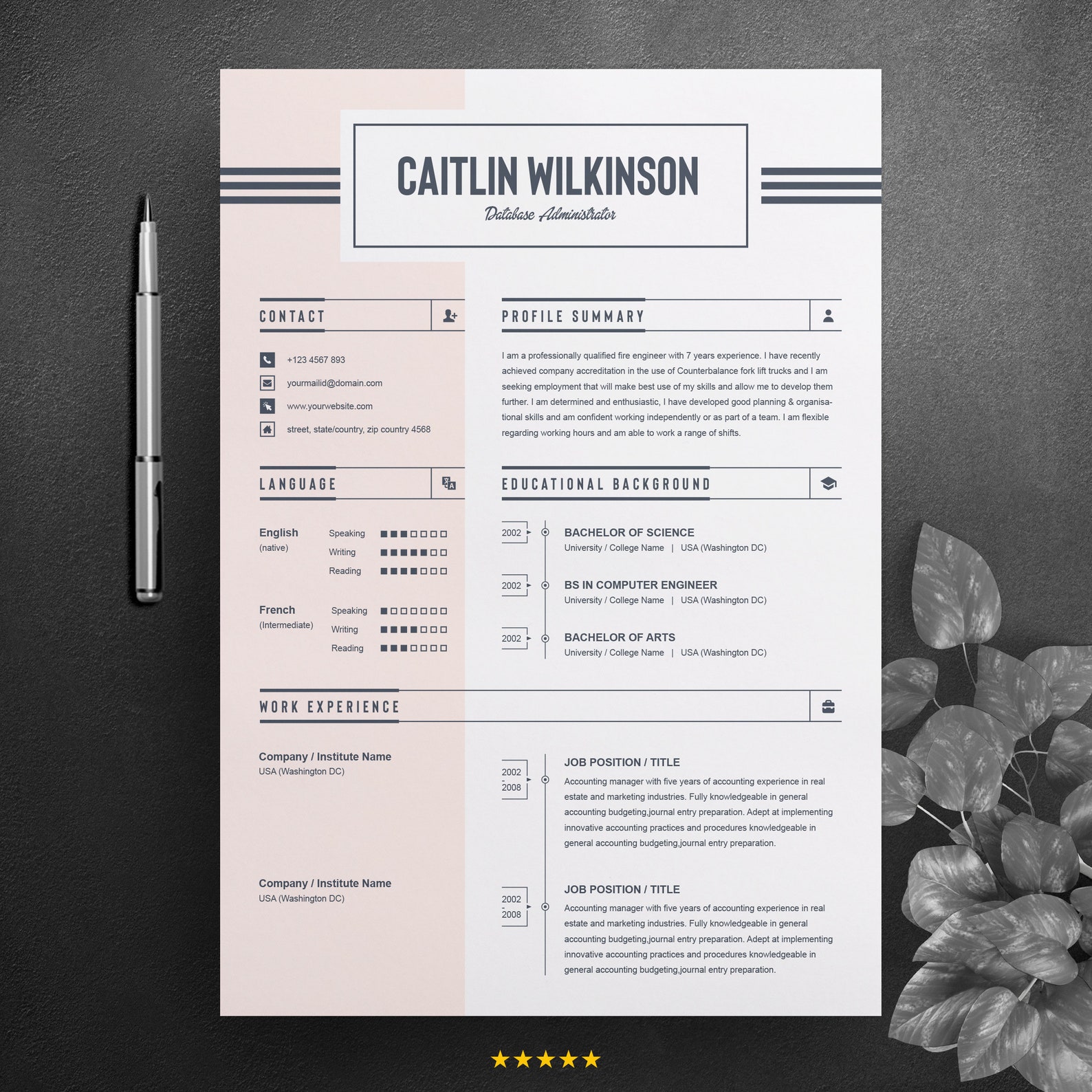cv templates for ms word cv templates for ms word