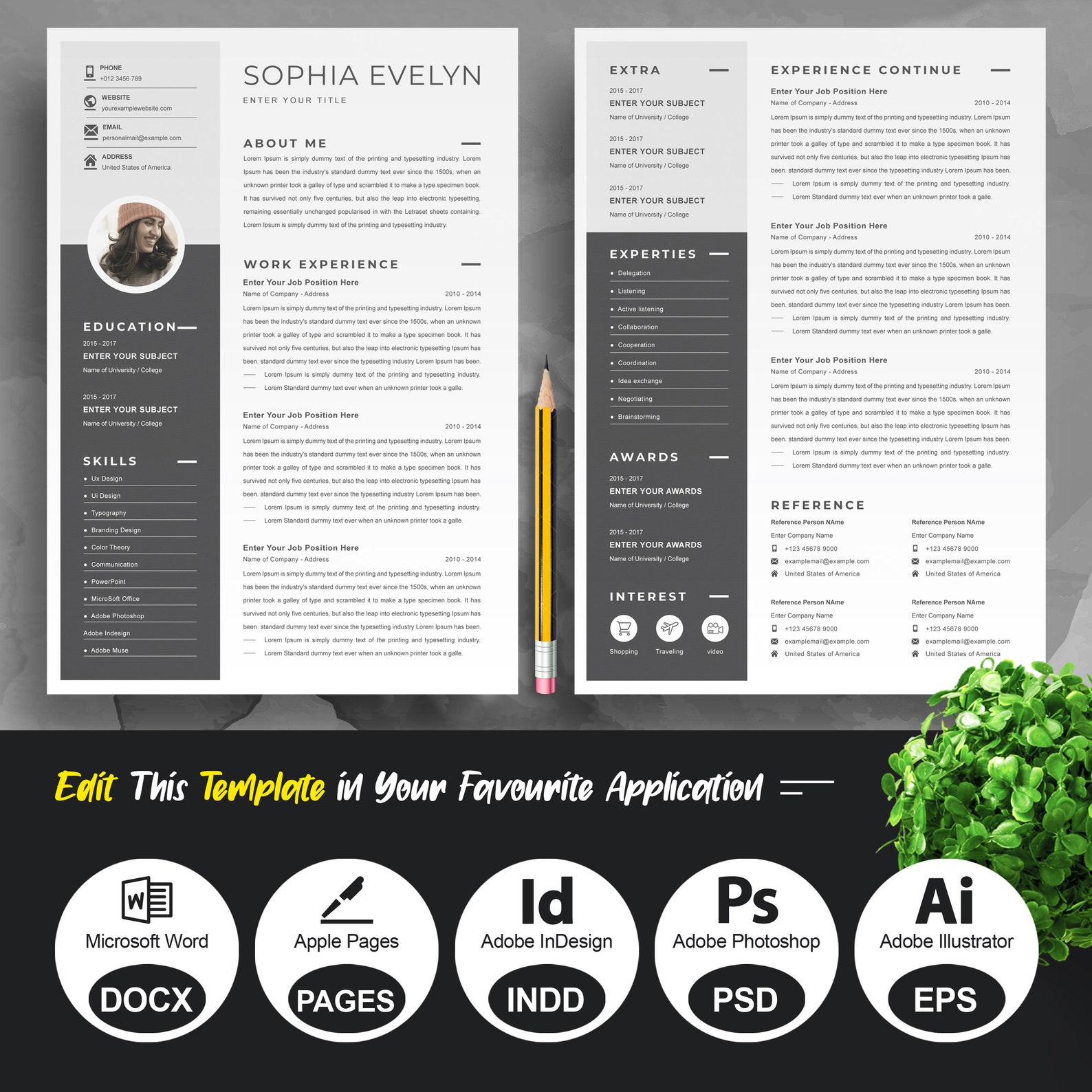 modern executive resume template