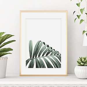 Watercolor indoor plant Phoenix, Palm leaf poster, Plant illustration, Nature watercolor, Wall decoration, Art print
