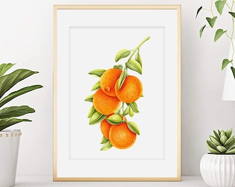 Aquarelle oranges sur branche, affiche fruits agrumes, déco cuisine, art mural, poster oranges fruits, impression oranges, décoration maison