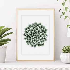 Watercolor succulent houseplant, Echeveria botanical poster, Plant illustration, Print, Wall decoration, Art print