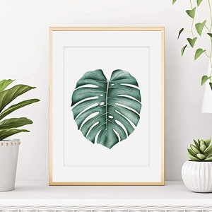 Monstera-Aquarell, Monstera-Blatt-Poster, botanisches Aquarell, Pflanzenaquarell, Wanddekorationsgemälde, Wandkunst, Kunstdruck