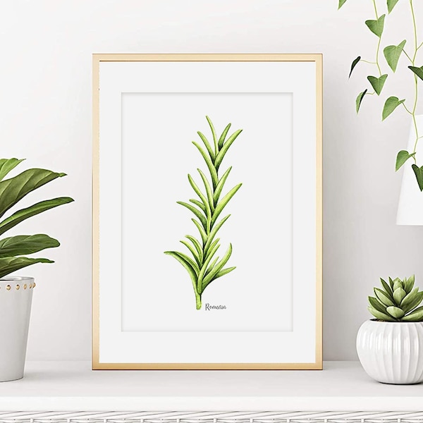 Aquarelle herbe aromatique romarin, Affiche botanique, Illustration plante pour décoration cuisine, Art végétale, Déco mural, Tirage d'art