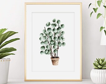 Aquarelle plante, Affiche Piléa, Illustration botanique à l'aquarelle, Impression plante succulente, Peinture d'art végétale, Déco murale.