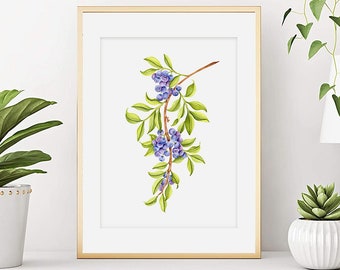 Watercolor blueberries on a branch, Blueberries botanical print, Kitchen art, Fruit watercolor painting, Wall decoration,