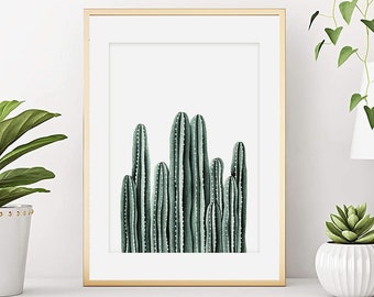 Cactus. Cactus print. Cactus poster. Plant watercolor. Plant print. Vegetal painting. Botany poster. Art print from my original watercolor.