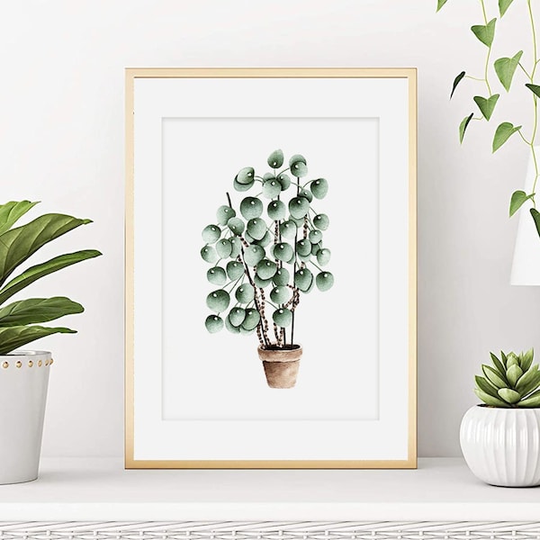 Aquarelle plante, Affiche Piléa, Illustration botanique à l'aquarelle, Impression plante succulente, Peinture d'art végétale, Déco murale.