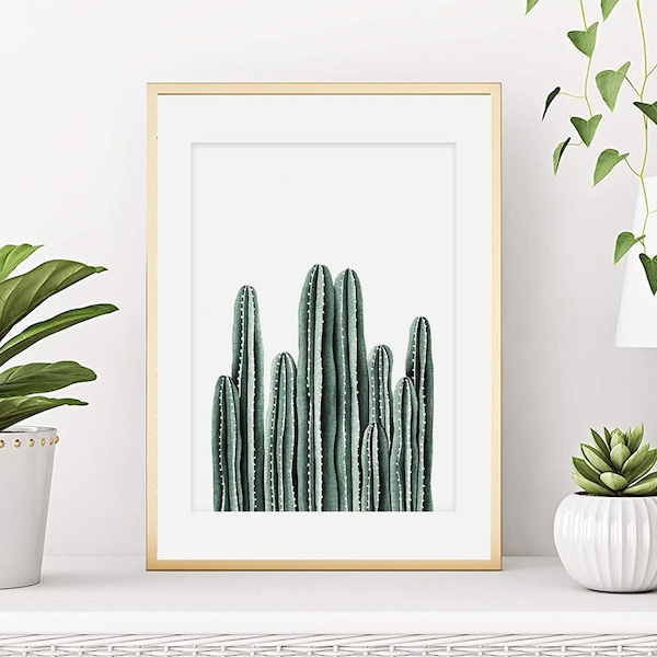 Aquarelle cactus, Affiche végétale, Impression botanique, Art végétal, Illustration cactée, Peinture plantes d'intérieur, Décoration murale.