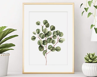 Aquarelle eucalyptus branche, Affiche plante d'intérieur, Peinture végétale Art botanique, décoration murale,