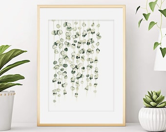 Watercolor indoor plant Valentine's Day, Botanical poster, Plant illustration, Ceropegia plant also called chain of hearts.