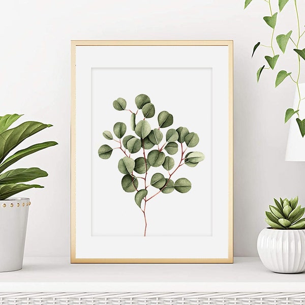 Plant print, plant poster, watercolor, eucalyptus poster, eucalyptus print, botany art, wall decor. Art print from my original watercolor.