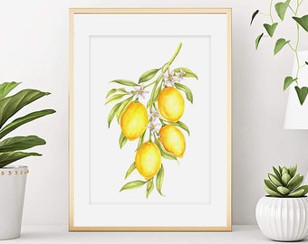 Aquarelle citrons branche, affiche fruits agrumes, décoration pour cuisine, art mural, poster citrons, impression citrons, déco maison