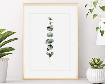 Eucalyptus poster. Eucalyptus print. Plant watercolor. Plant print. Vegetal painting. Botany poster. Art print from my original watercolor.