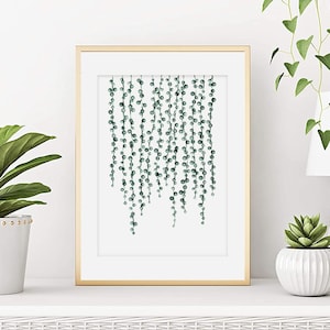 Senecio rowleyanus. Print. Poster. Plant watercolor. Succulent. Vegetal painting. Botany decor. Art print from my original watercolor.