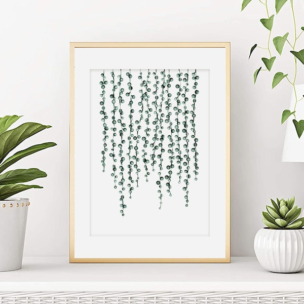 Senecio rowleyanus. Print. Poster. Plant watercolor. Succulent. Vegetal painting. Botany decor. Art print from my original watercolor.