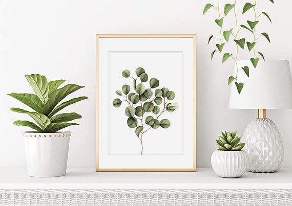 Aquarelle eucalyptus branche, Affiche plante d'intérieur, Peinture végétale Art botanique, décoration murale,