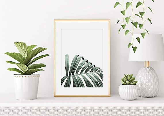 Watercolor Indoor Plant Phoenix, Palm Leaf Poster, Plant Illustration,  Nature Watercolor, Wall Decoration, Art Print - Etsy