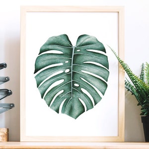 May include: A framed print of a single green watercolor monstera leaf on a white background.