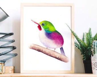 Bird Poster. Bird Print. Bird watercolor. Bird Painting. Bird decor. Bird lovers. Bird Drawing. Art print from my original watercolor.