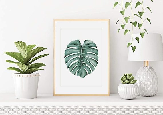 Aquarelle Monstera, Affiche Feuille Monstera, Aquarelle botanique, Aquarelle plante, Tableau Décoration murale, Art mural, Tirage d'art
