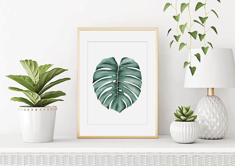 Monstera watercolor, Monstera leaf poster, Botanical watercolor, Plant watercolor, Wall decoration painting, Wall art, Art print image 1