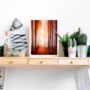May include: A framed painting depicting a forest path with tall trees and a warm, orange glow. The painting is displayed on a wooden desk with a lamp, a glass bottle, and potted plants.