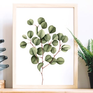 May include: A framed watercolor painting of a eucalyptus branch with green leaves on a white background.