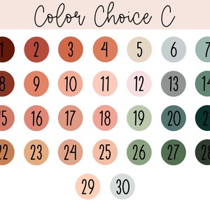 May include: A colour chart labelled "Color Choice C" with thirty numbered colour swatches. The swatches are arranged in rows and columns, showcasing a variety of shades including earth tones, pastels, and muted greens.