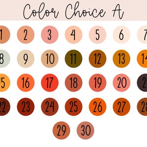 May include: A colour chart labelled "Color Choice A" with thirty numbered colour swatches. The swatches are arranged in rows and columns, displaying a range of shades from light to dark, including beige, pink, orange, and brown.