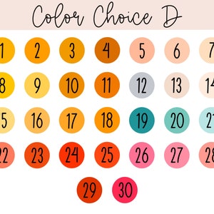 May include: A colour chart labelled "Color Choice D" with 30 numbered colour swatches. The swatches are arranged in rows and columns, each a different shade of orange, pink, blue, and neutral tones. The numbers are in black.