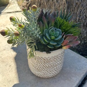 Wheat Pot