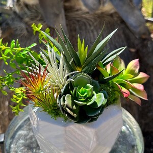 Octagon Pot