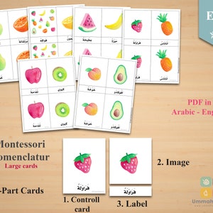 Grands FRUITS en arabe - anglais • Cartes Montessori • Cartes Flash • Cartes en trois parties • Cartes de nomenclature • Matériel pédagogique • Imprimable