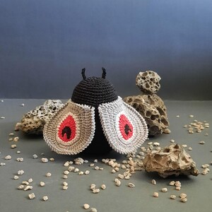 Crochet Halloween moth pattern. Pattern for Dead head butterfly.