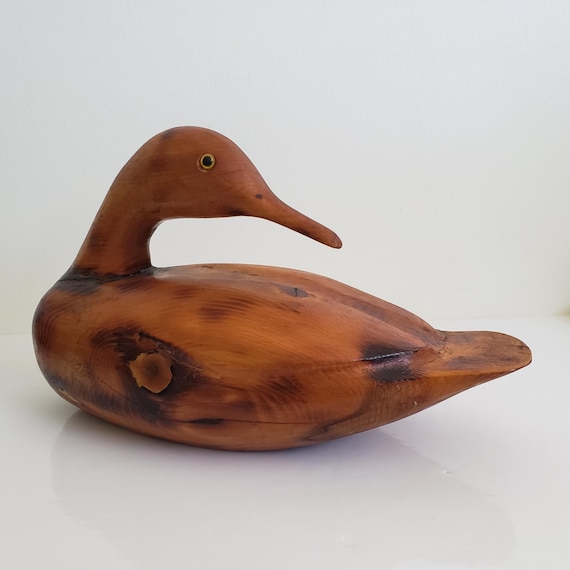 Un pato de madera macho en un arroyo de pensilvania | Foto Premium Un pato de madera macho en un arroyo de pensilvania | Foto Premium