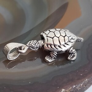 May include: A silver turtle pendant with detailed shell and limbs. The pendant has a loop for a chain and is likely made of sterling silver. The turtle is a popular charm and is often worn as a necklace.