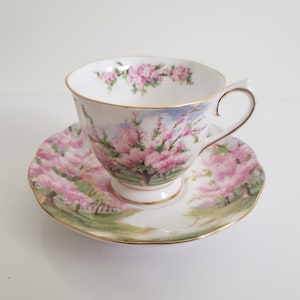 Vintage Royal Albert Blossom Time Teacup and Saucer Set - Countess Shape