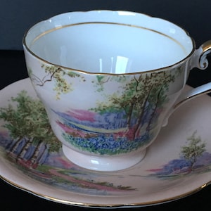 Vintage Aynsley Tea Cup And Saucer Set With Light Pink Background Trees, And Wildflowers