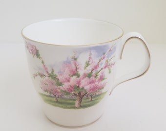 Tazza vintage Royal Albert Blossom Time Lyric Shaped, in porcellana fine, prodotta in Inghilterra.