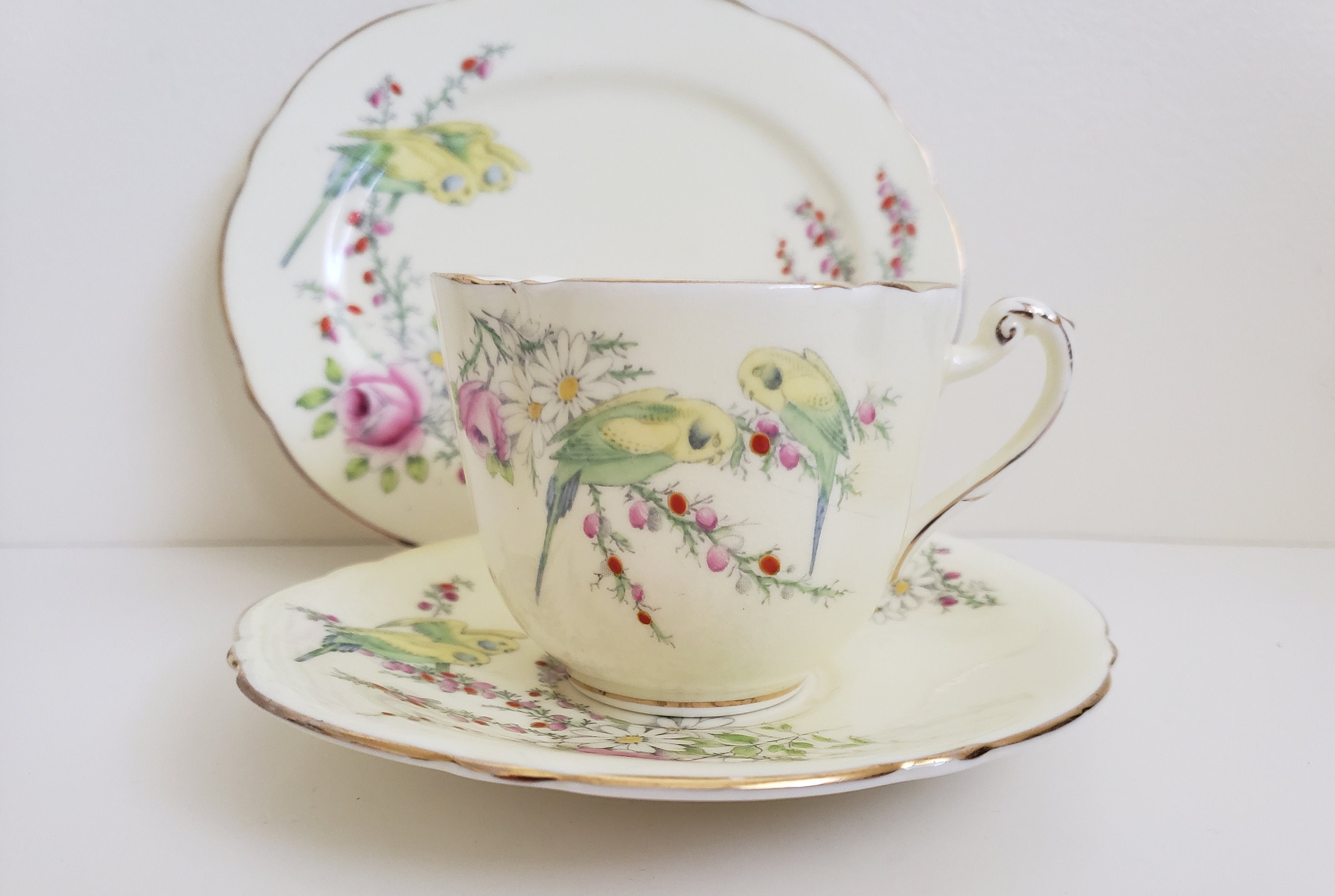 Paragon Princess Margaret Rose Budgies Roses Birds Cup & Saucer England