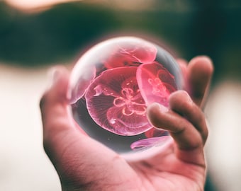 Psychic Love  Reading *Spiritual Advice* Predictions* Channeled Insights  from HIGHER SELF*