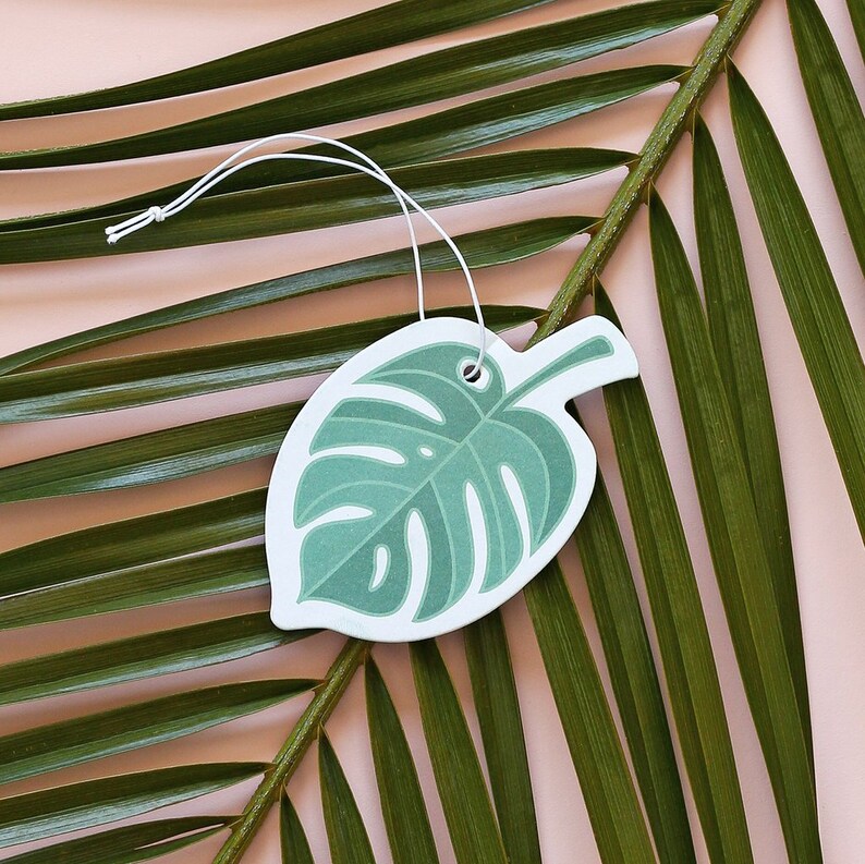 Monstera eucalyptus Scented Car Air Fresheners Etsy