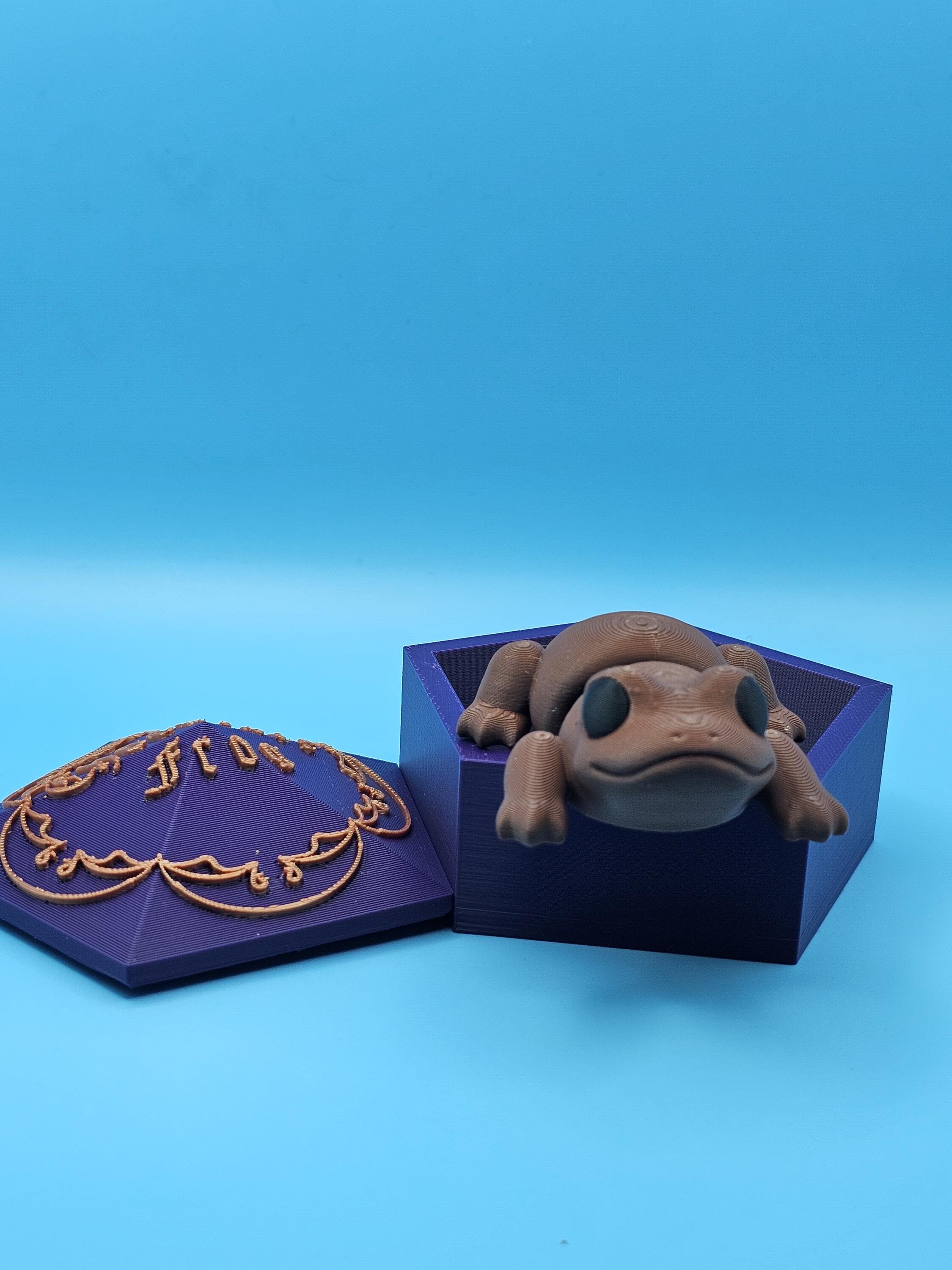 Chocolate Frog Fidget Toy Set - Etsy