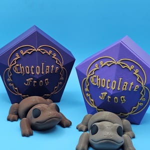 Può includere: Due statuette di rana di cioccolato con scatole viola abbinate. Le scatole a forma di diamante hanno il testo dorato che recita "Chocolate Frog". Una rana è marrone, l'altra grigia. Lo sfondo è azzurro chiaro.